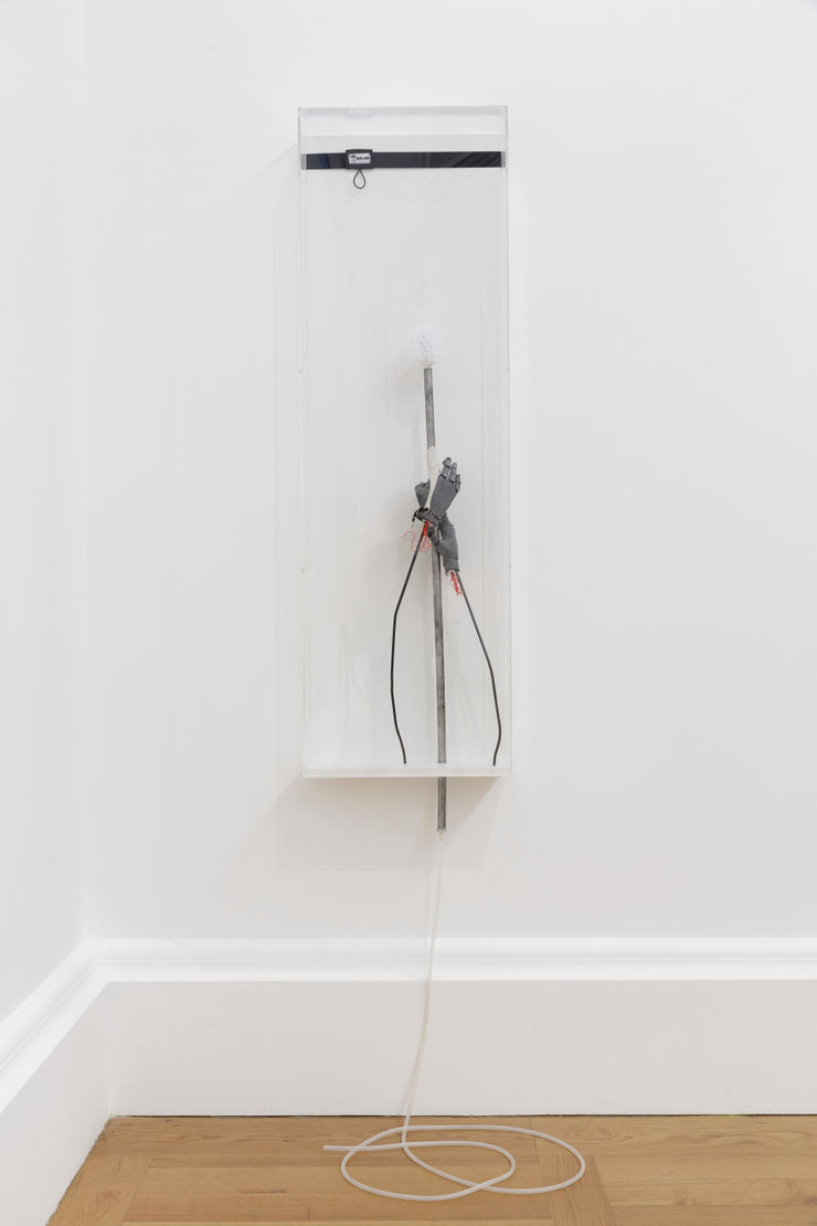 Jesse Darling, Regalia & Insignia (The staff of Saint Jerome), 2018