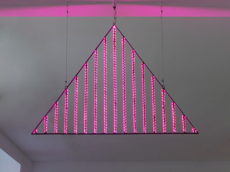 Ramaya Tegegne, Furys, 2018