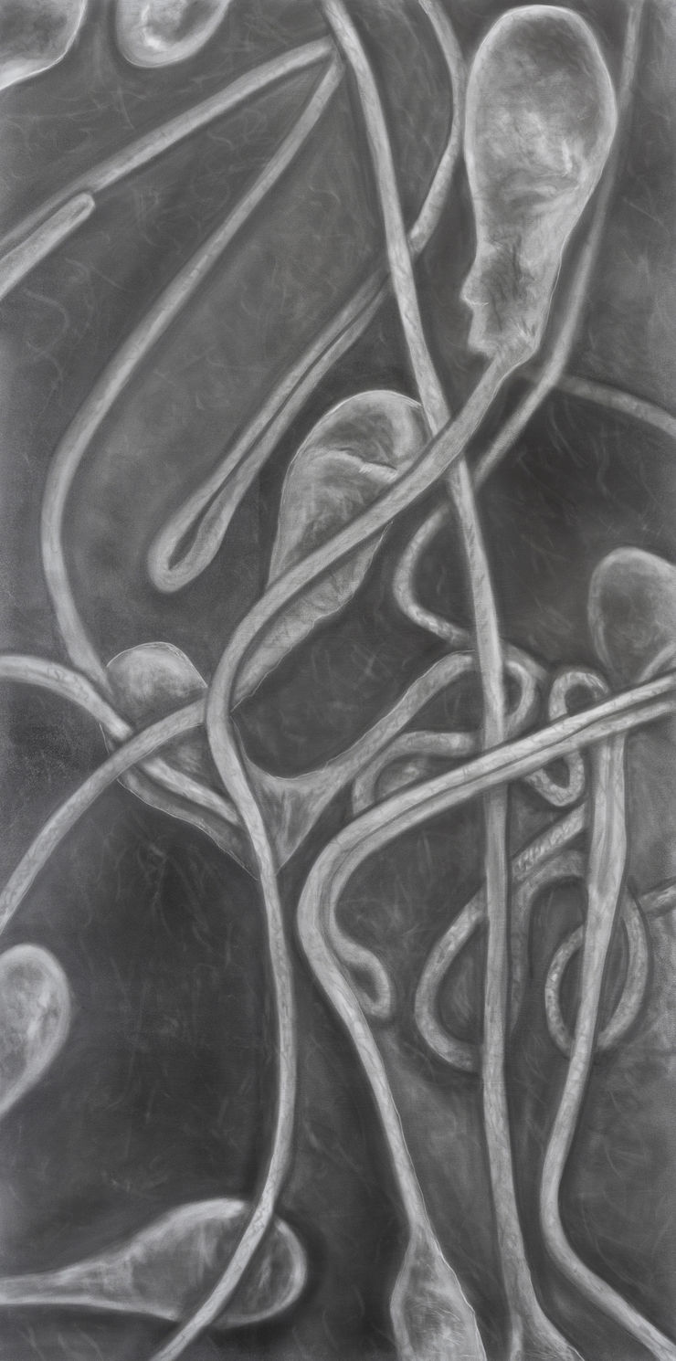 Juan Antonio Olivares Untitled (sperm on mucus lining), 2022 Graphite powder and acrylic on aluminum panel 61 x 120 x 3 cm 24 1/8 x 47 1/4 x 1 1/8 in