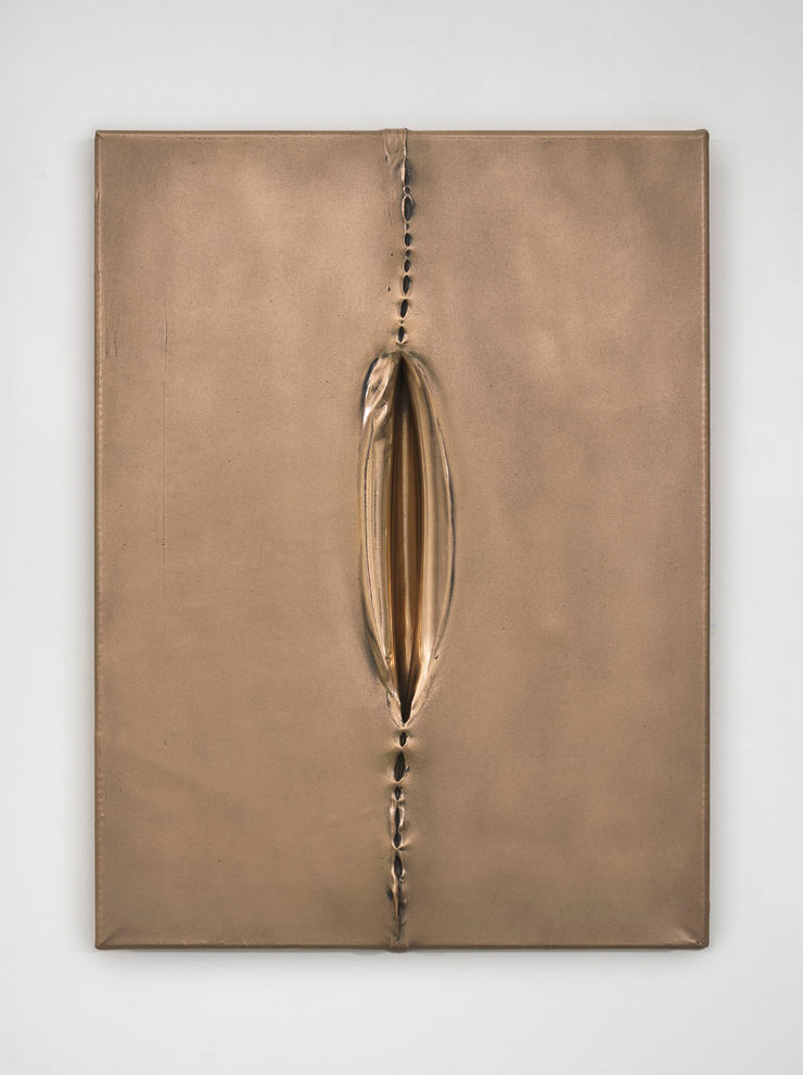 Eli Ping Aphakic II, 2025 Bronze 30.5 x 40.6 x 2.5 cm 12 x 16 x 1 in