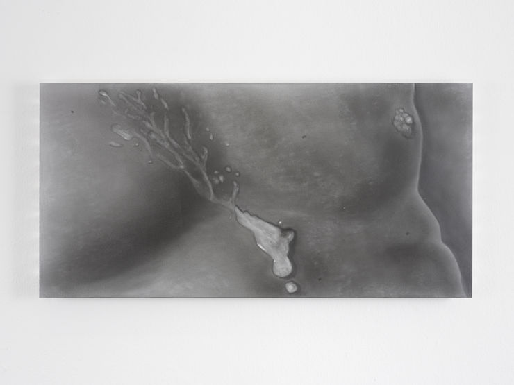 Juan Antonio Olivares Untitled (cum), 2022 Graphite powder and acrylic on aluminum panel 61.7 x 30.5 x 3 cm 24 1/4 x 12 1/8 x 1 1/8 in