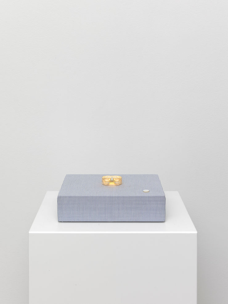 Eric Oglander Crab lamp, 2024 Crab, wood, fabric from button down shirt, plywood, led and electronics, button 20.32 x 17.78 x 7.62 cm 8 x 7 x 3 in