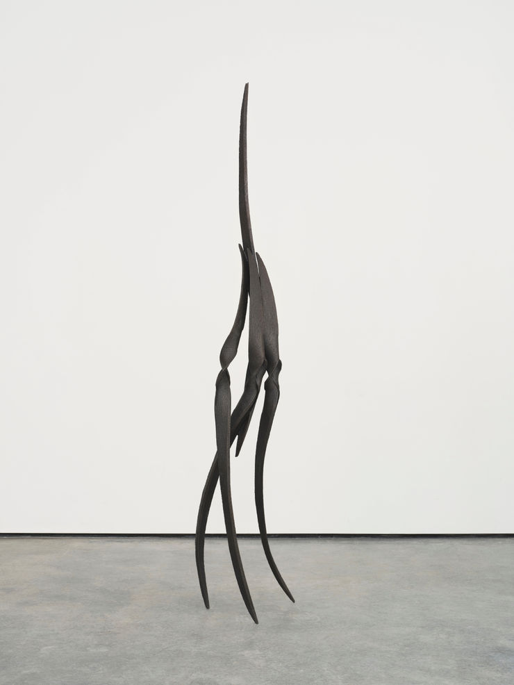 Eli Ping Hesperocallis II, 2025 Bronze 247 x 53 x 43 cm 97 x 21 x 17 in