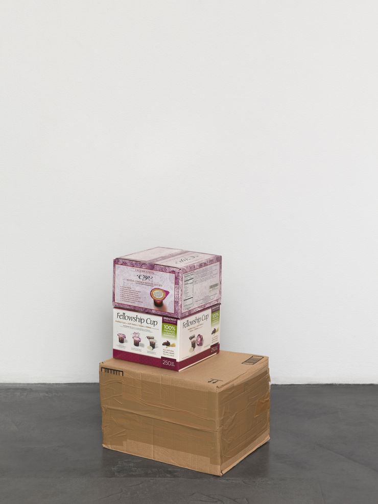 Mitchell Anderson Expiration piece, 2022 Expired single-use consecrated communion sets, sealed cases; packaging as shipped 55 x 39 x 31 cm 21 5/8 x 15 3/8 x 12 1/4 in