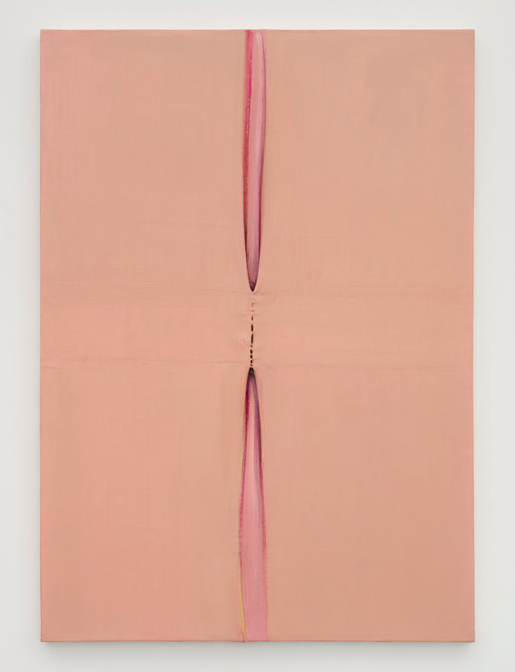 Eli Ping Adiaphane II, 2025 Oil on canvas 122 x 91.5 x 5 cm 48 x 36 x 2 in