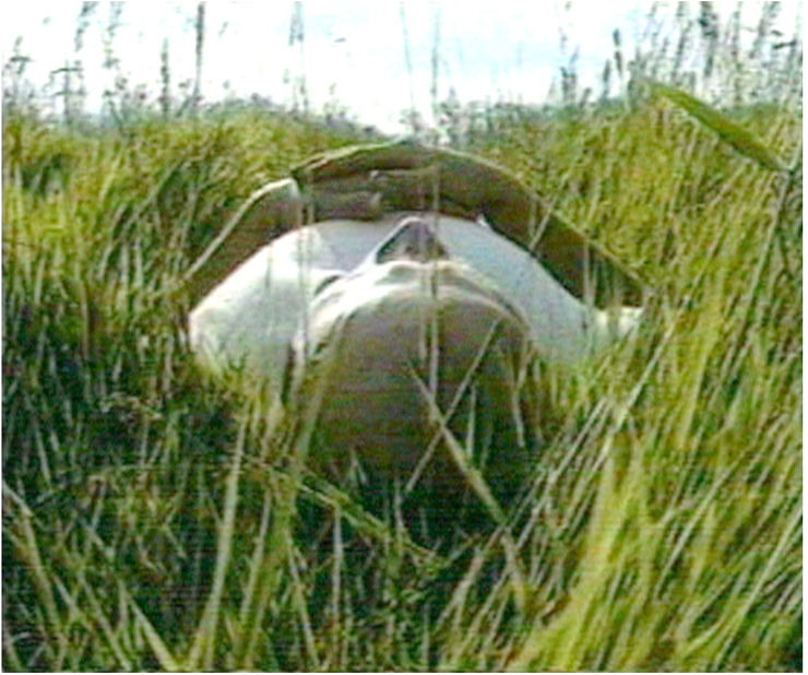 Mwangi Hutter, Messengers Of Violence, 1996