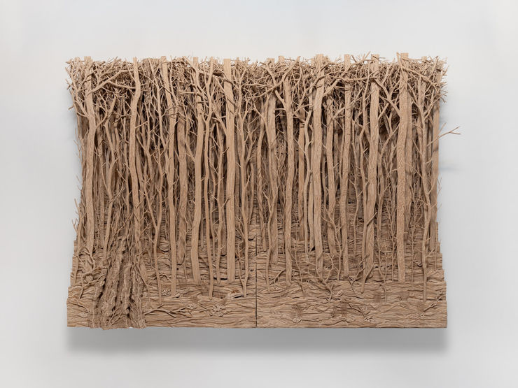 Eva Jospin, Forêt, 2024