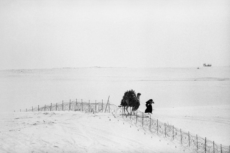 Border Fence, near Rafah, 1982