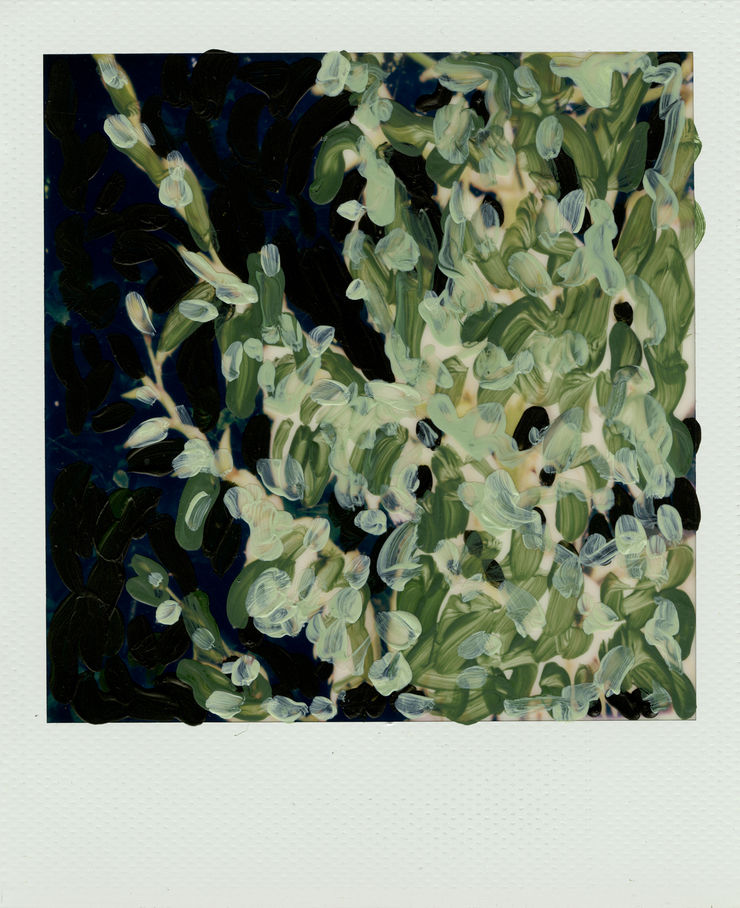 Michael De Feo, Untitled, 2020