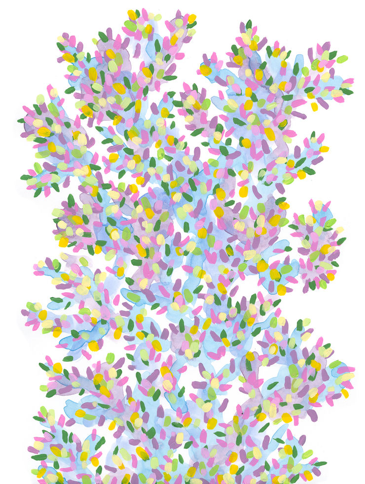 Michael De Feo, Untitled, 2017