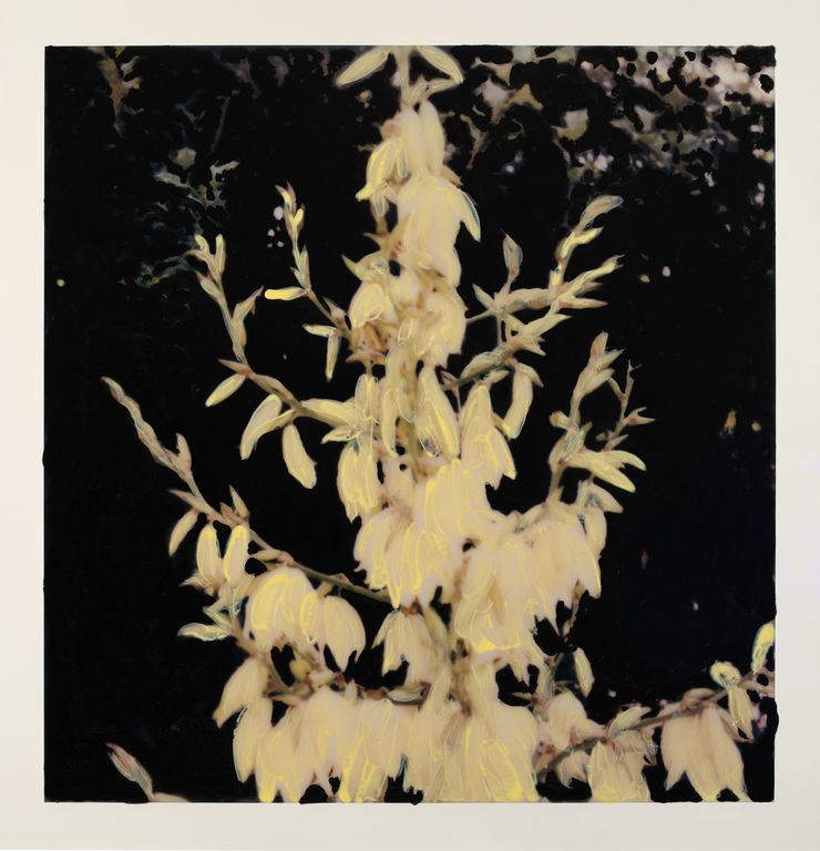 Michael De Feo, Untitled (Polaroid Painting 01), 2021