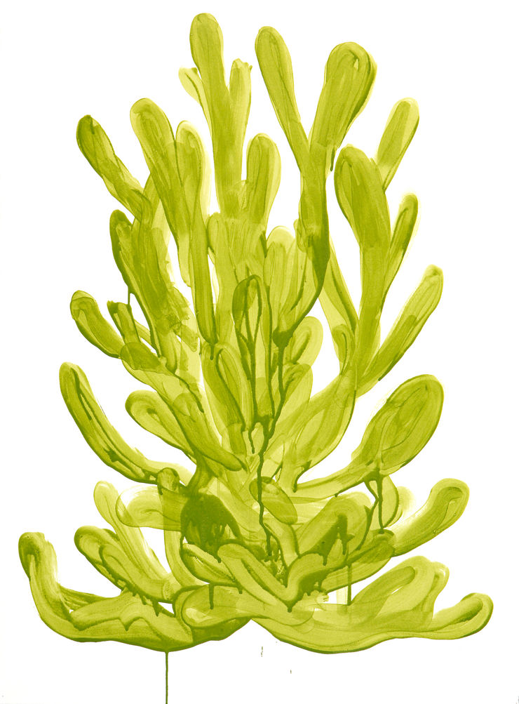 Michael De Feo, Untitled, 2015