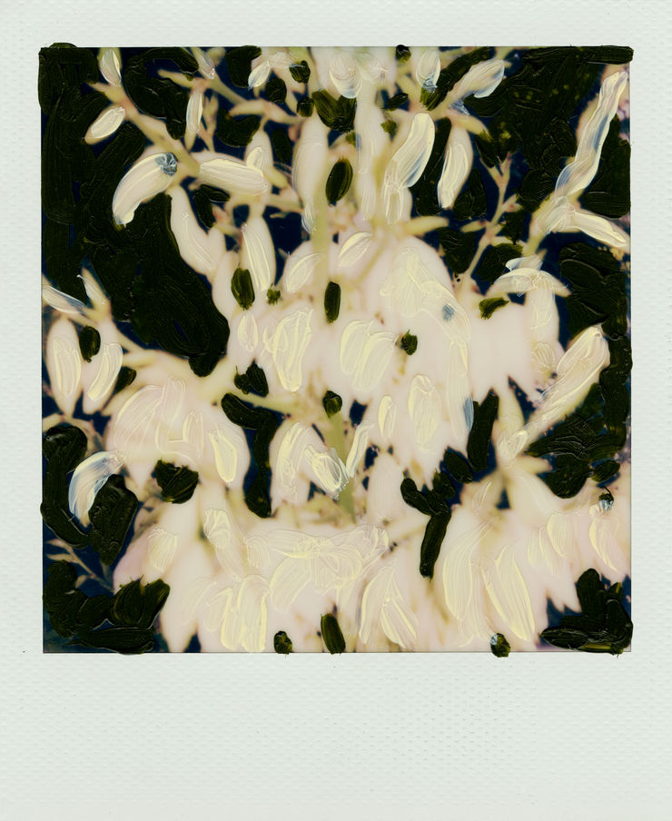 Michael De Feo, Untitled, 2020