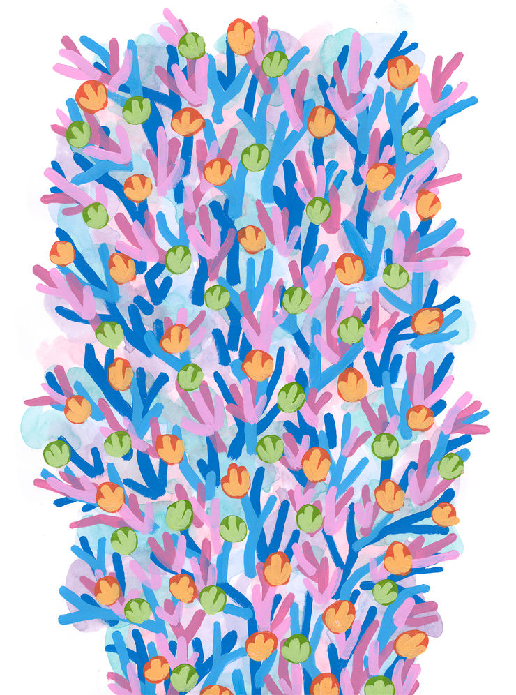 Michael De Feo, Untitled (Punta Cana, Dominican Republic), 2016