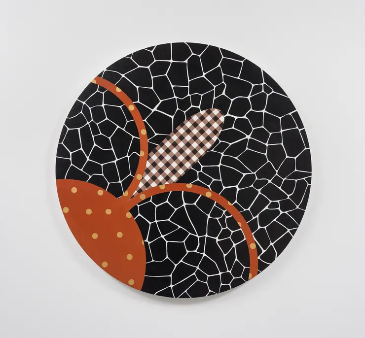 Carla Arocha Rover (kamali black reptiled), 1996 acrylic on panel 34 in. diameter