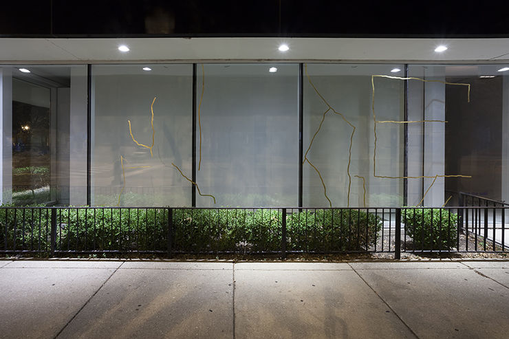 on the wall: Karen Reimer