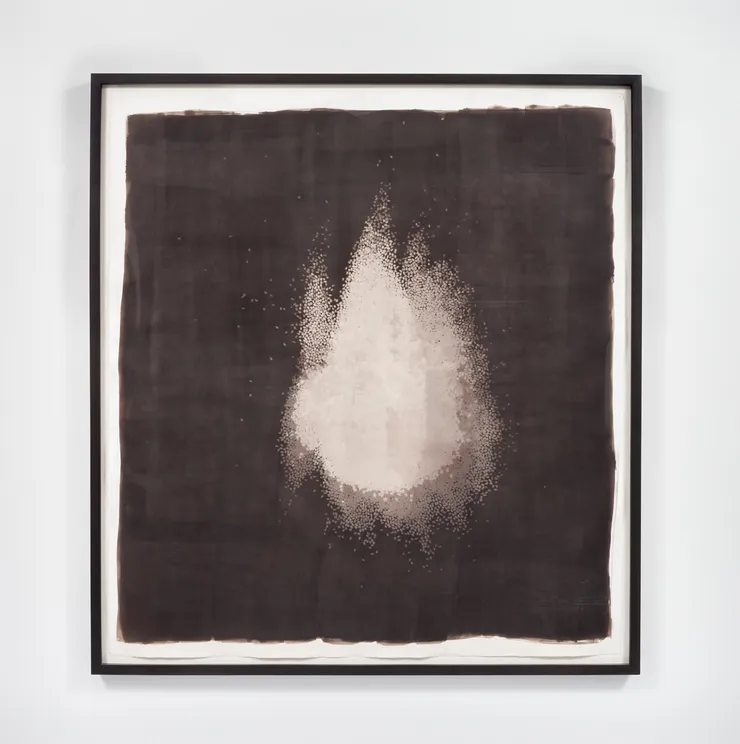 Rashid Johnson Snigabooboo Holy Field Negro, from the series "Death of a Break Dancer", 2002 Van Dyke photo 55 x 50 in. 139.7 x 127.0 cm