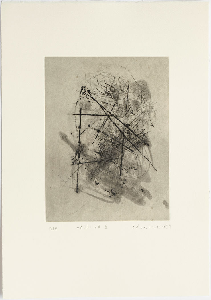 Jacqui Colley, Vestige II, 2025