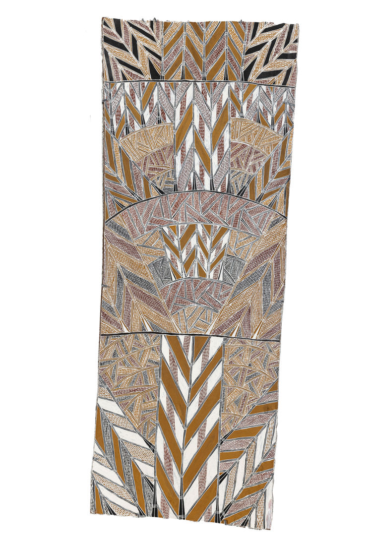Bandarr Wirrpanda Dhuruputjpi, 2024 Earth pigments on Stringybark 125 x 49 cm