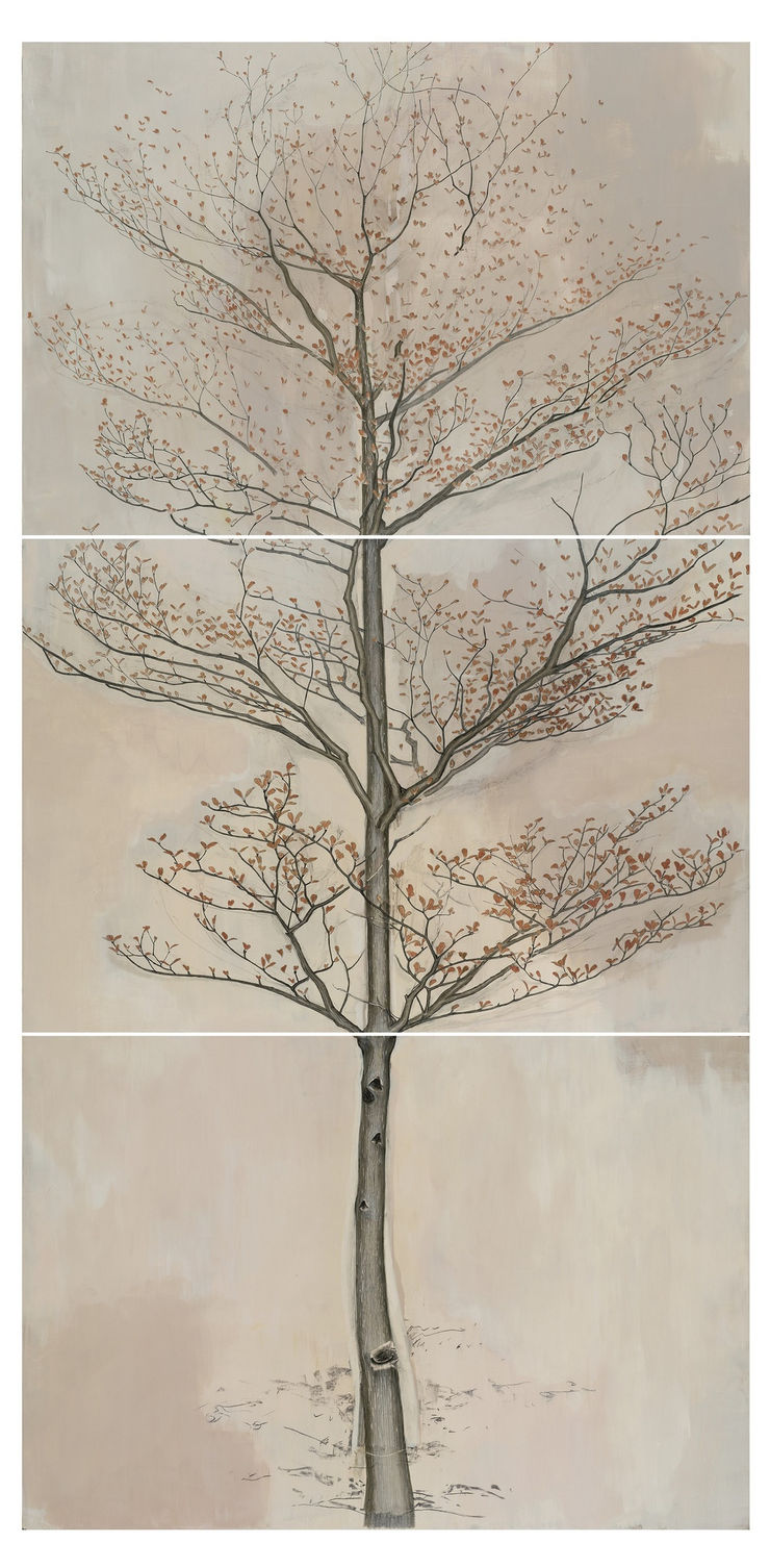 Cheng, Halley 鄭哈雷, A Tree Besides Block 21, Shek Kip Mei Estate, 2013