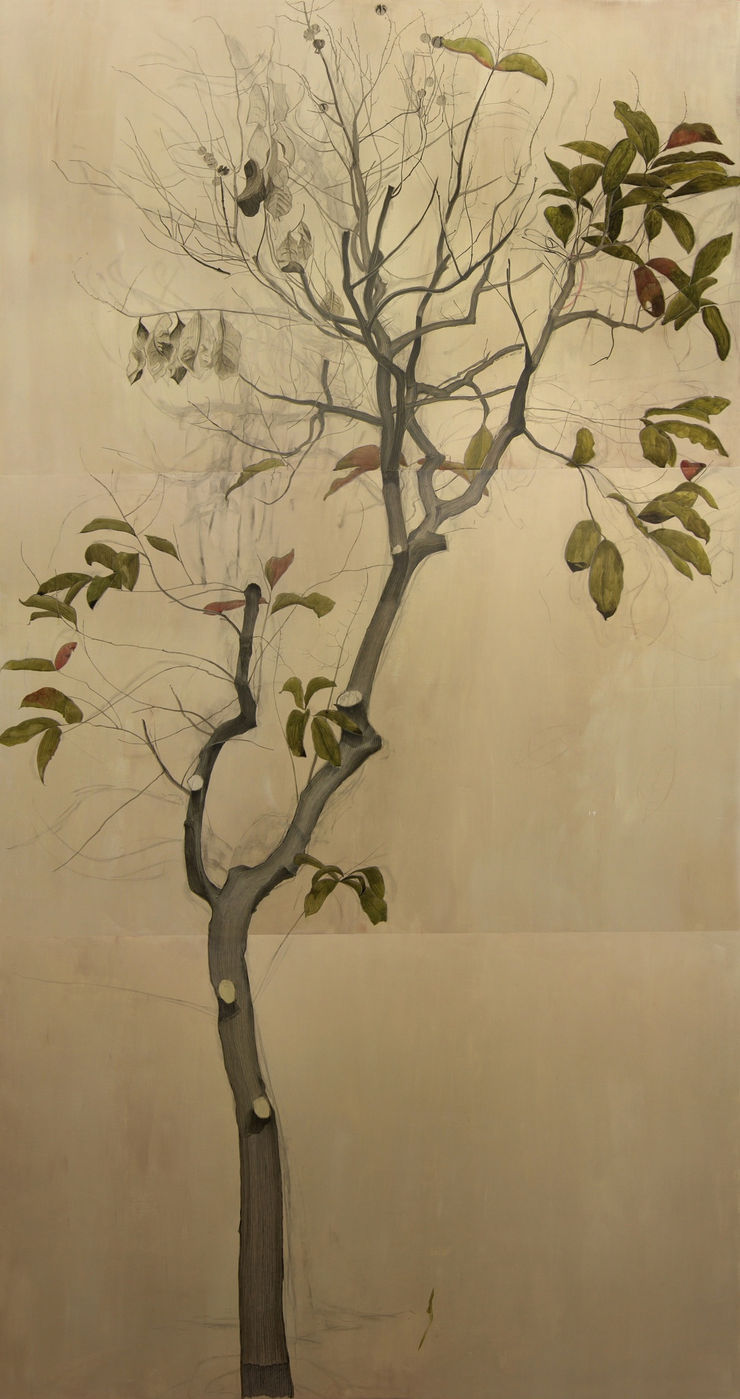 Cheng, Halley 鄭哈雷, A Tree in Lai Chi Kok Park, Stage 1, West Entrance, 2013