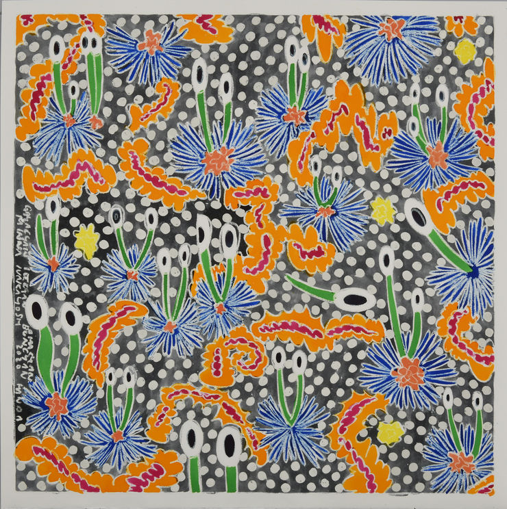 amacyan gayacyan ittcyan buncyan minna nakayoshi