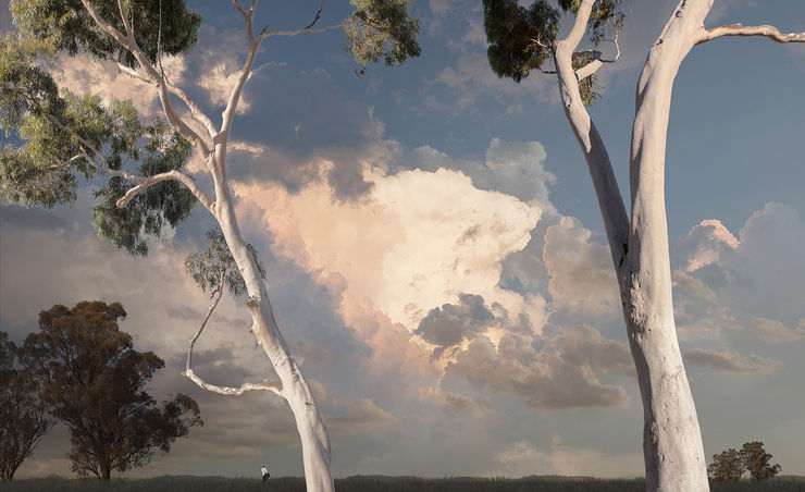 Lindsay Blamey, Storm Field