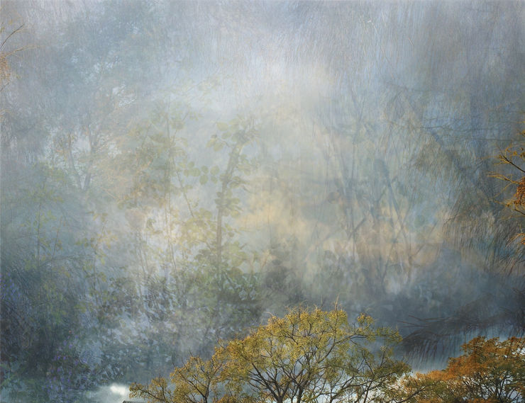 Sophia Szilagyi, Flight and Rest