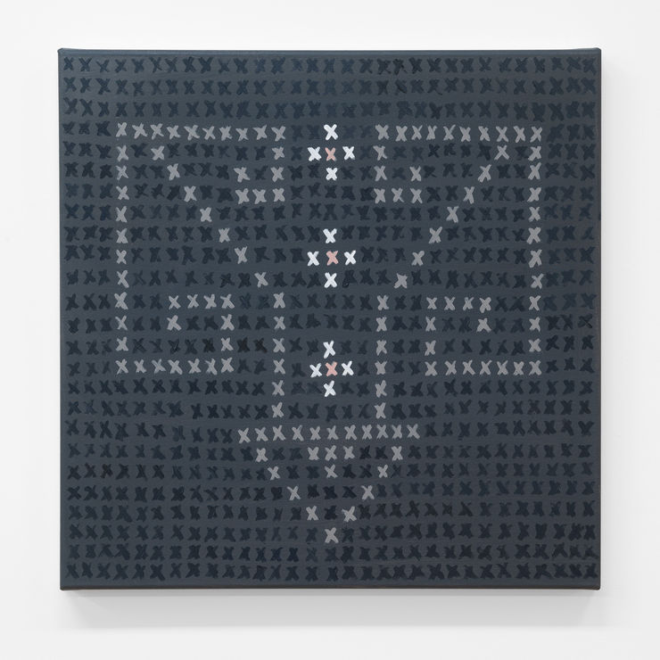 Mātai Rongoā Series 2