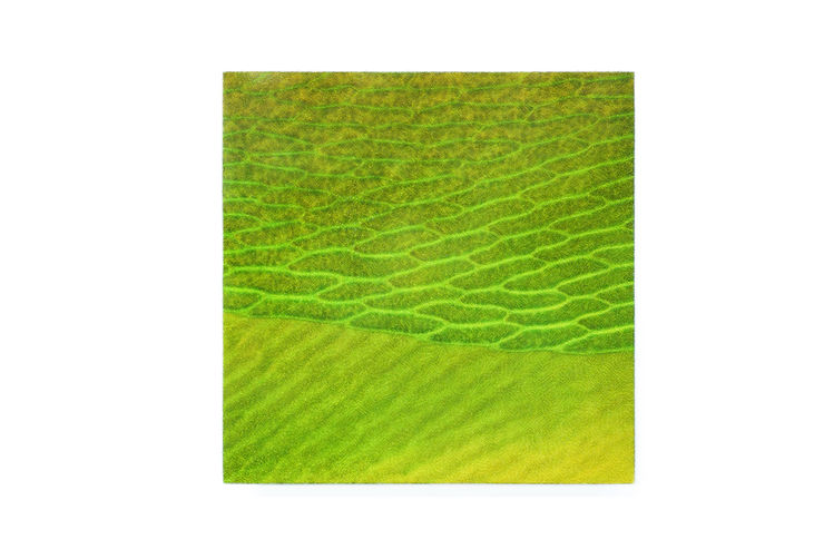 Subliminal Activity VII