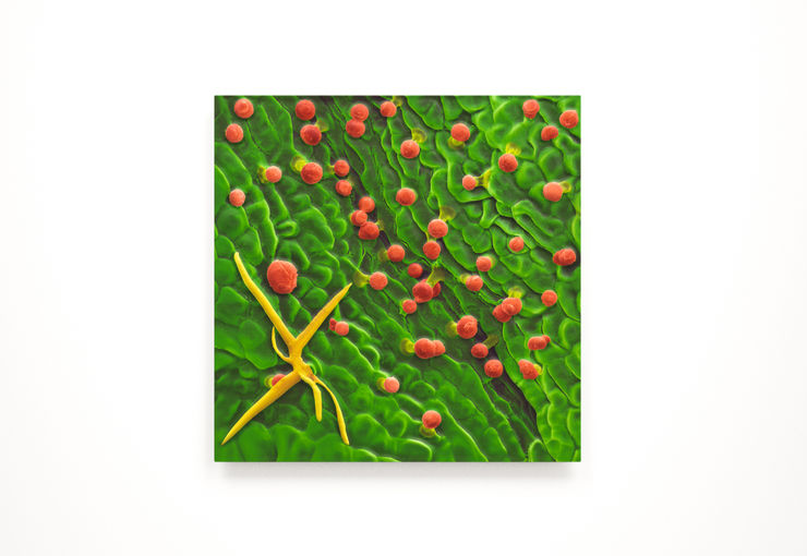 Fugitive and the Invisibles