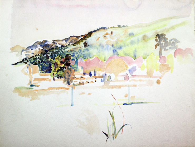 Hawkes Bay Landscape