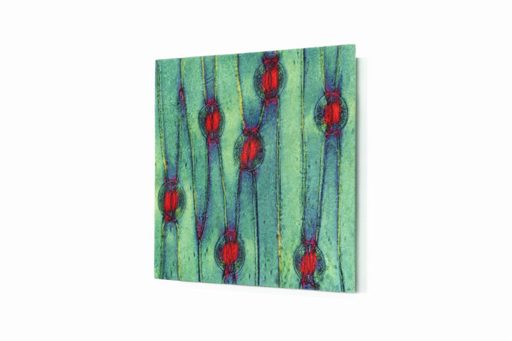 Subliminal Activity I