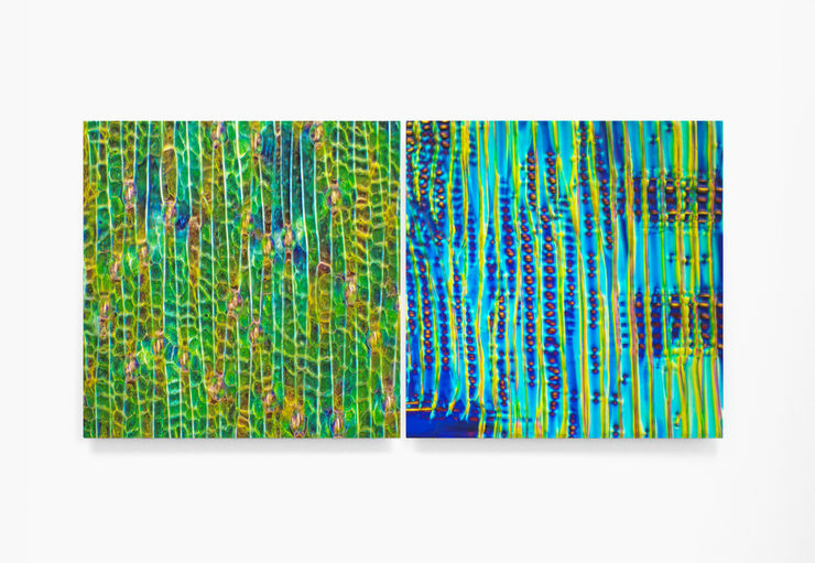 Relativistic Time Dilation (Diptych)