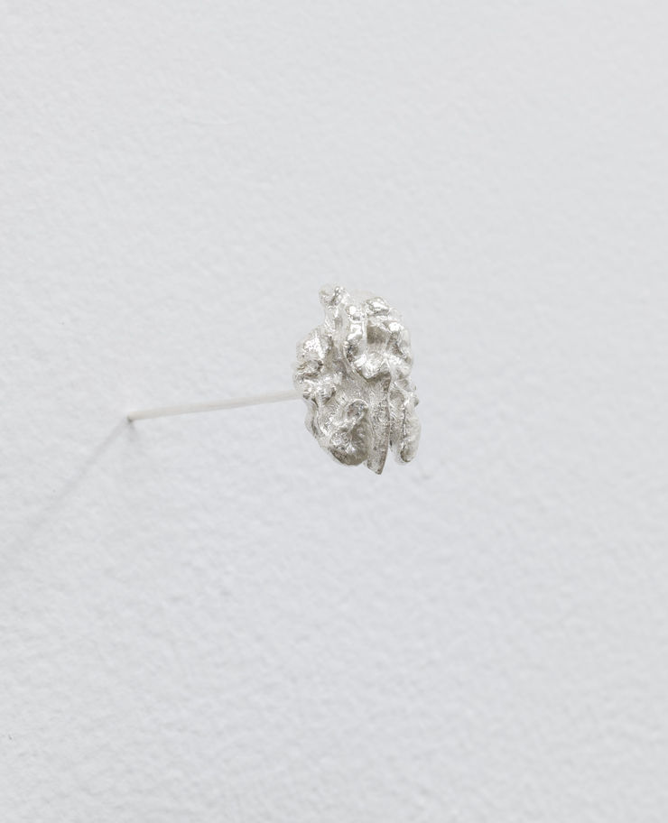 A whole half (Seeds of Rangiātea)