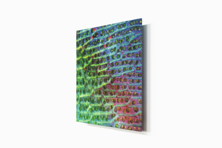 Subliminal Activity IX