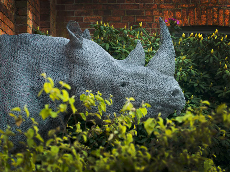 Kendra Haste MRSS, Rhinoceros, 2000-14