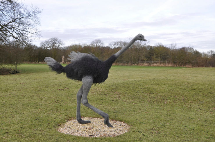 Kendra Haste MRSS, Ostrich, 2003