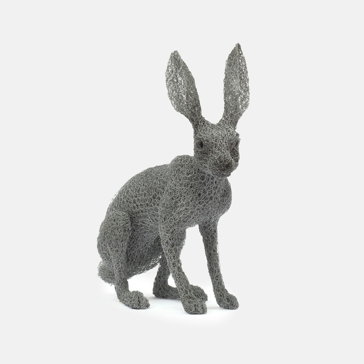 Kendra Haste MRSS, Antelope Jackrabbit, 2023