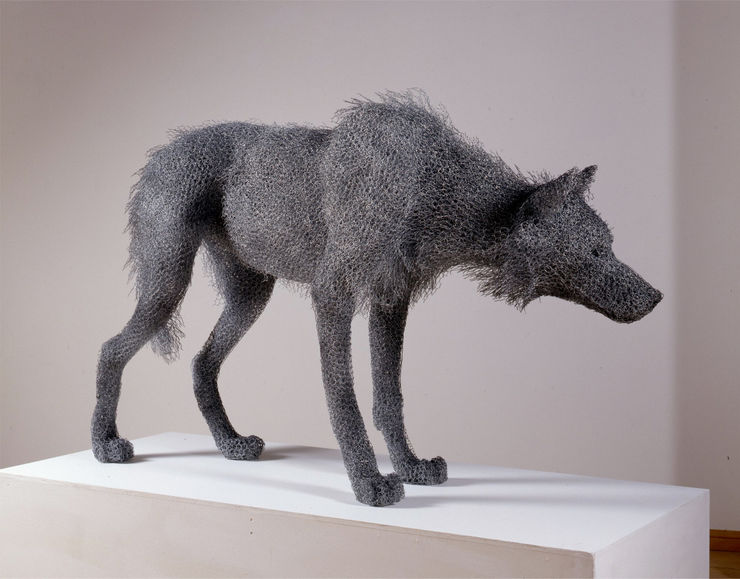 Kendra Haste MRSS, Timber Wolf, 2002