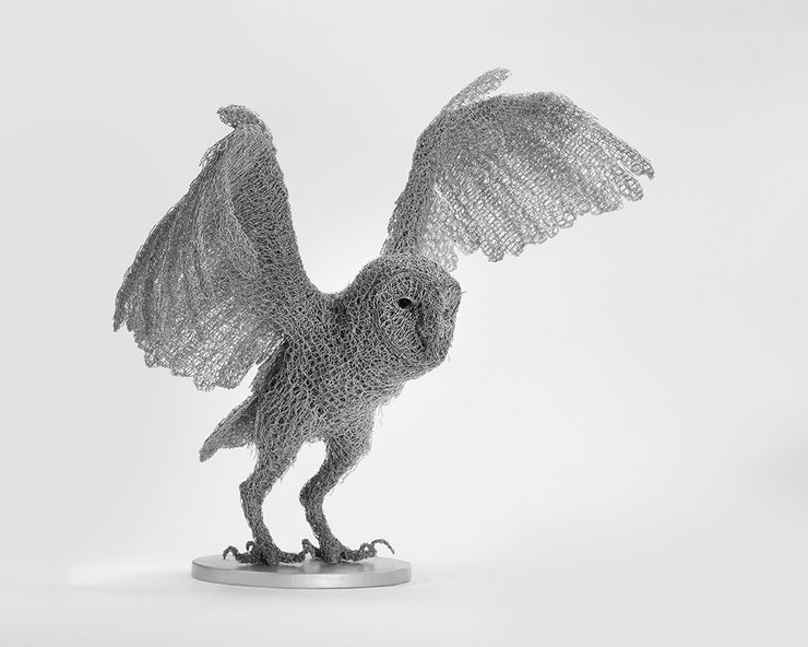 Kendra Haste MRSS, Barn Owl, 2023-24