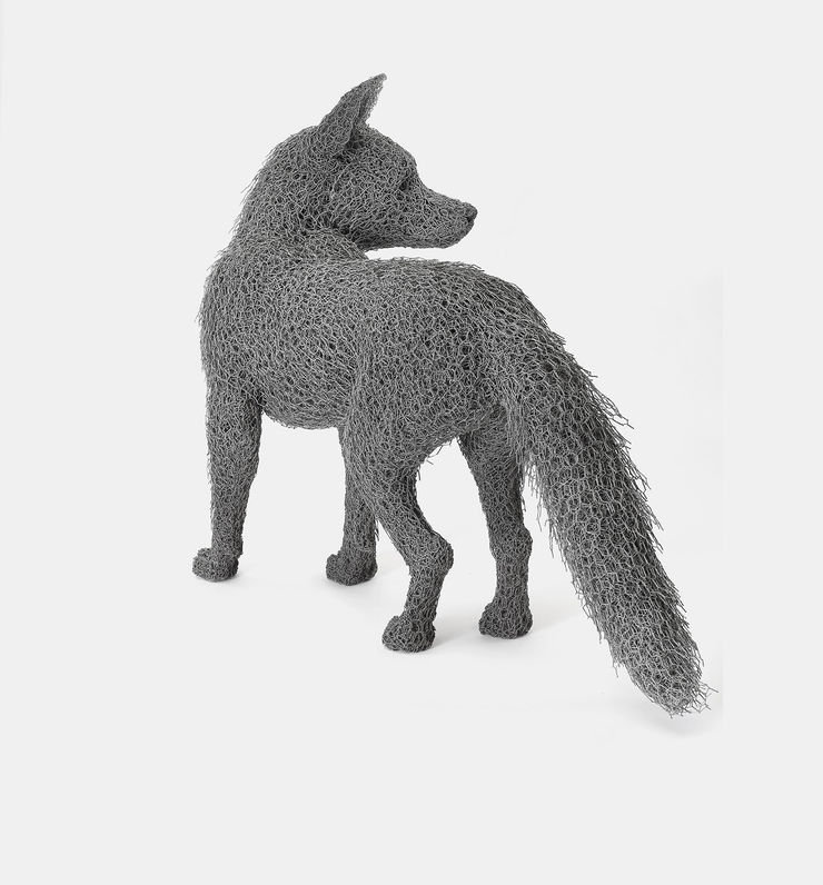 Kendra Haste MRSS, North American Red Fox, 2023