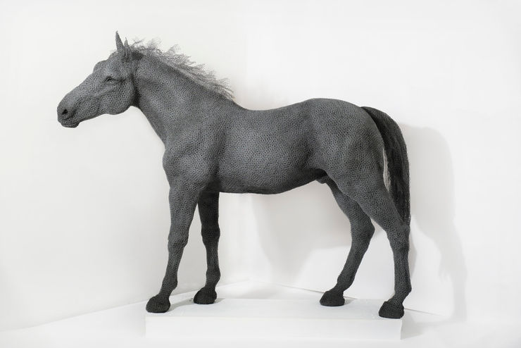 Kendra Haste MRSS, Wild Mustang, 2021