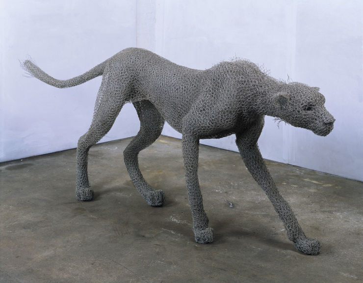 Kendra Haste MRSS, Stalking Cheetah, 2003