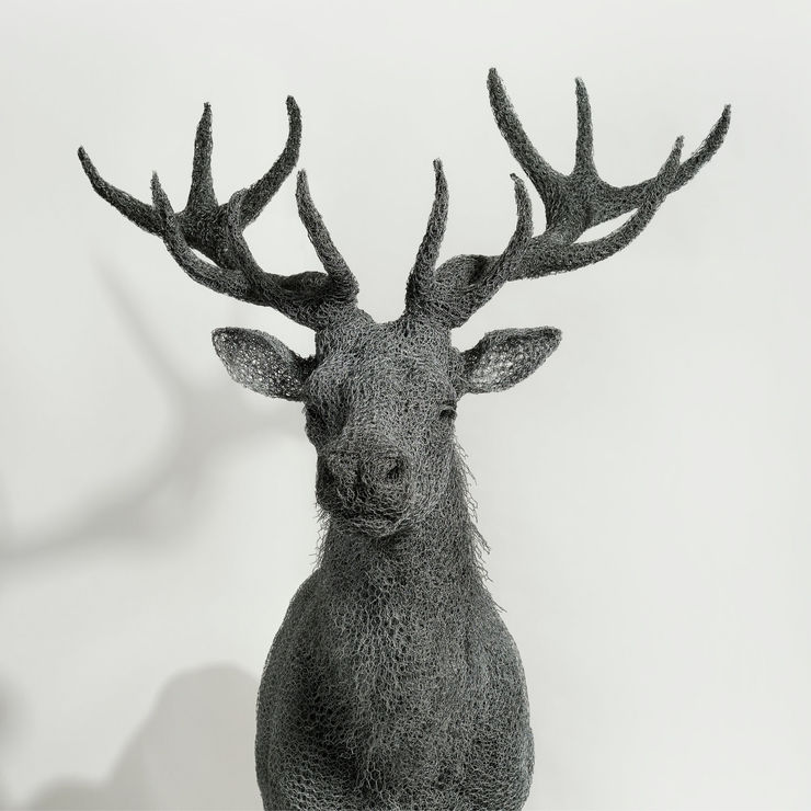 Kendra Haste MRSS, Red Stag, 2022