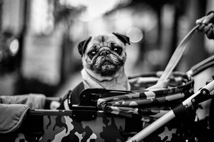 PHIL PENMAN, Tokyo Series 032, 2023