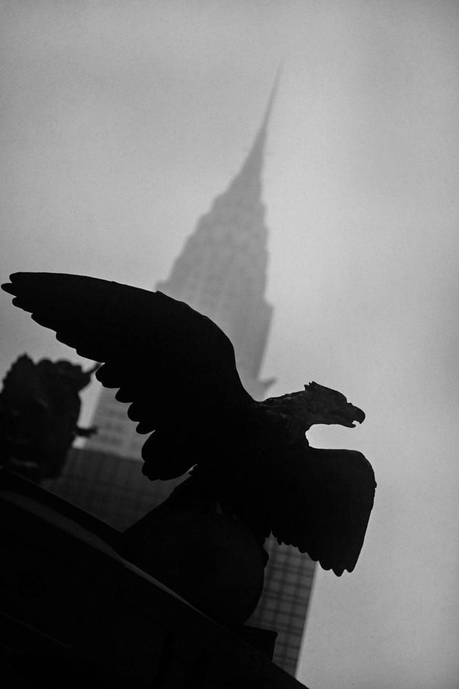 PHIL PENMAN, The Chrysler #15, 2022