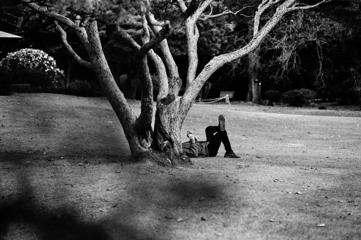 PHIL PENMAN, Tokyo Series 004, 2023