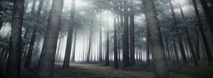 Condition-Light V, 2019 Oil on canvas 60 x 162 cm 23.6 x 63.8 in