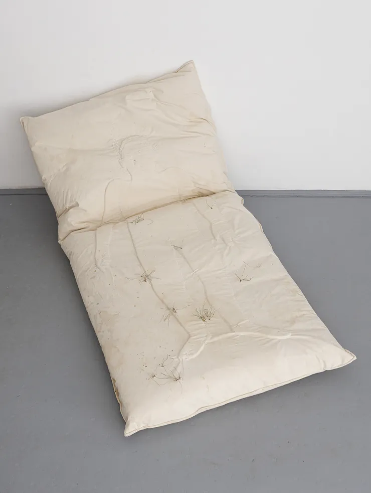 Luca Sára Rózsa, Earth, 2026